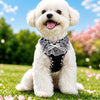 Small Dog Harness and Leash Set
