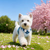 Small Dog Vest Harness with Leash