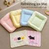 Summer Pet Mat for Dogs & Cats with Removable Washable Cover