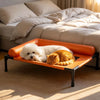 Elevated Pet Bed for Small to Medium Dogs and Cats