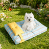 Striped Pet Beds with Pillow – Round, Long & Flat Styles