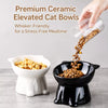 Ceramic Angled Elevated Pet Bowl