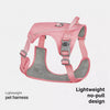 Nylon Dog Harness with Leash