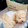 Car Pet Bed with Removable Washable Cover and Seat Belt Strap