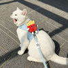 Cute Food-Themed Harness and Leash Set for Small Pets