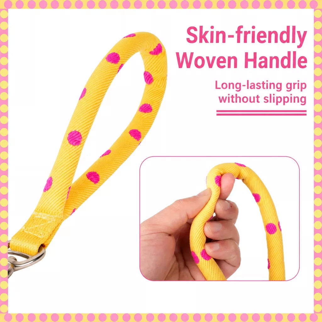 Dog Leash for Everyday Walks