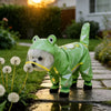 Frog Full-Coverage Raincoat for Dogs with Leash Opening