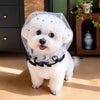 Polyester Mesh Muzzle for Small Dogs