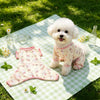 Lightweight Four-Leg Dog Bodysuit for Summer