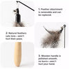 Cat Teaser Wand with Detachable Feather and Bell Attachment