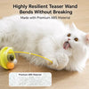 Cat Tumbler Teaser Toy with Feather and Catnip Ball