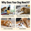 Vinyl Squeaky Dog Ball Toys for Small and Medium Dogs