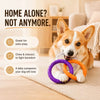Dog Tug Ring Toy for Interactive Play