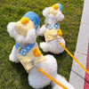 Pet Outdoor Harness and Hat Sets for Small Dogs and Cats
