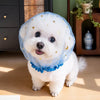 Polyester Mesh Muzzle for Small Dogs