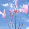 Cat Teaser Wand Toy with Feather and Bell Details