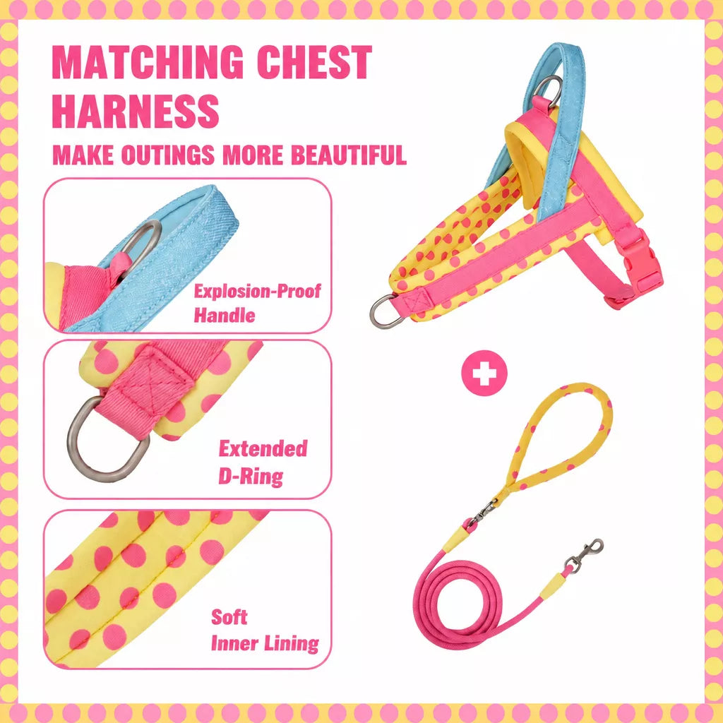 Dog Leash for Everyday Walks