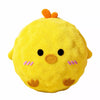 Cartoon Squeaky Ball Dog Toy