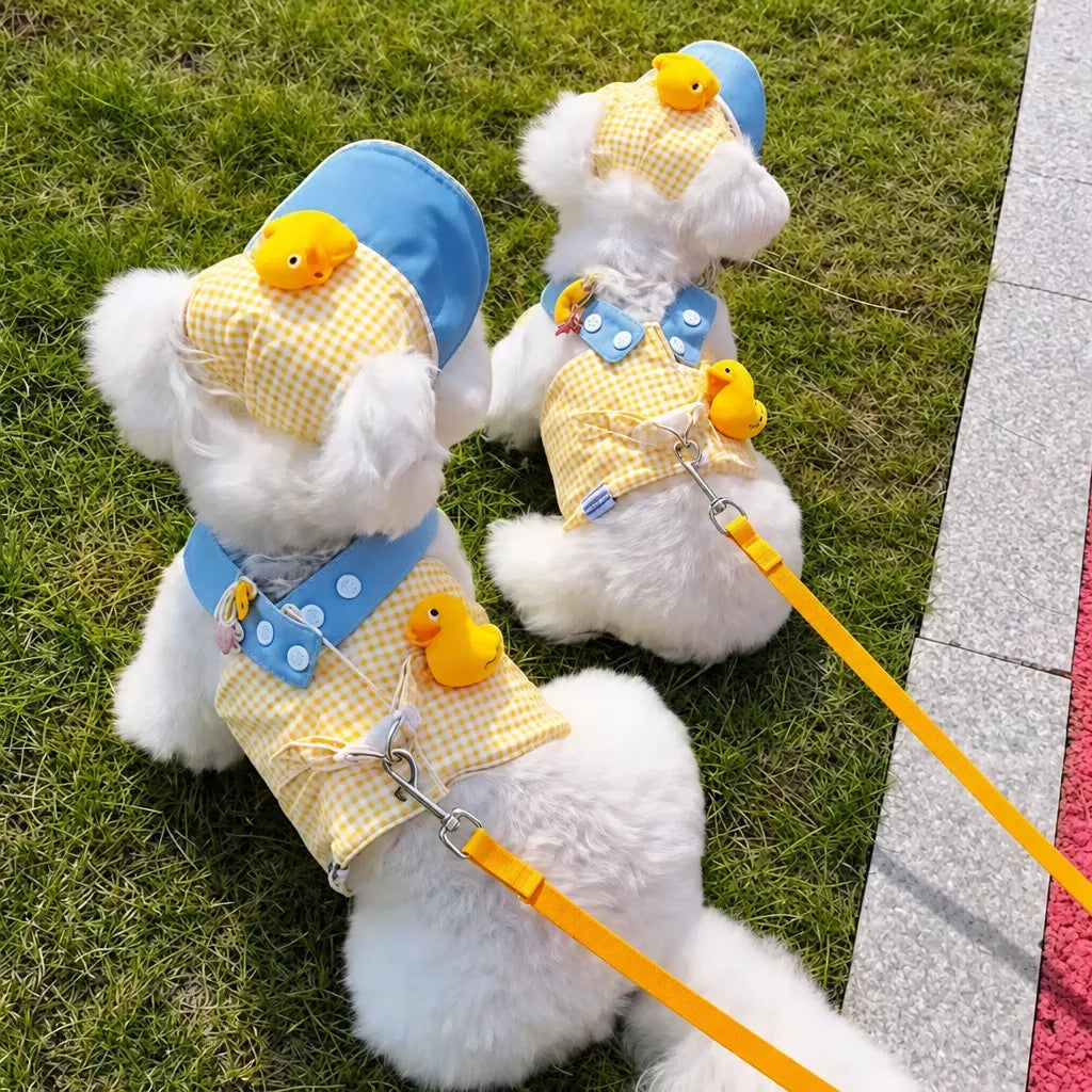Pet Harness, Leash & Hat Sets for Dogs and Cats