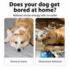 Crinkle Paper Dog Toy – Newspaper & Playing Card Styles