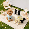Lightweight Four-Leg Dog Bodysuit for Summer