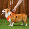 Vest-Style Dog Harness