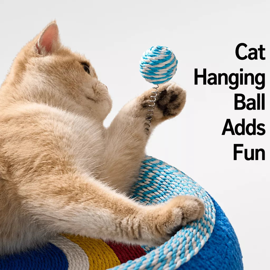 Cat Scratcher Bed with Integrated Lounge Nest