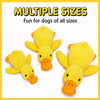 Plush Squeaky Dog Toys