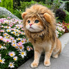 Playful Pet Costume Hats for Cats & Dogs