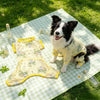 Lightweight Four-Leg Dog Bodysuit for Summer