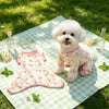 Lightweight Four-Leg Dog Bodysuit for Summer