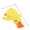 Plush Squeaky Dog Toys