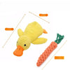 Plush Squeaky Dog Toys