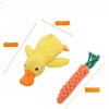 Plush Squeaky Dog Toys
