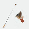 Retractable Cat Teaser Wand with Interchangeable Toy Heads