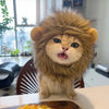 Playful Pet Costume Hats for Cats & Dogs