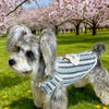 Lightweight Cotton Pet Shirt for Dogs and Cats