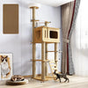 Cat Tree with Scratching Post and Enclosed Hideaway