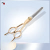 Stainless Steel Pet Grooming Shear Set