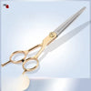 Stainless Steel Pet Grooming Shear Set