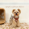 Small Dog Vest Harness with Leash